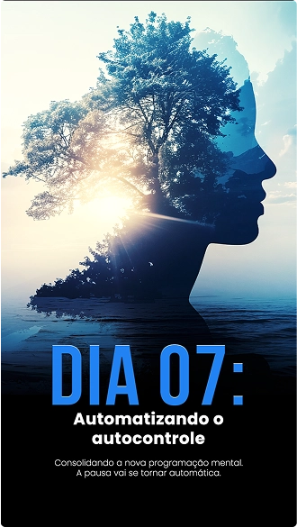 dia 7